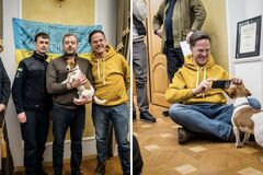 'Подивився йому в очі': Рютте розповів, яке 'послання' отримав від українського пса Патрона. Відео