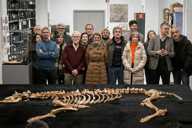 Археологи знайшли залишки бізона, який жив 4000 років тому: в чому унікальність відкриття