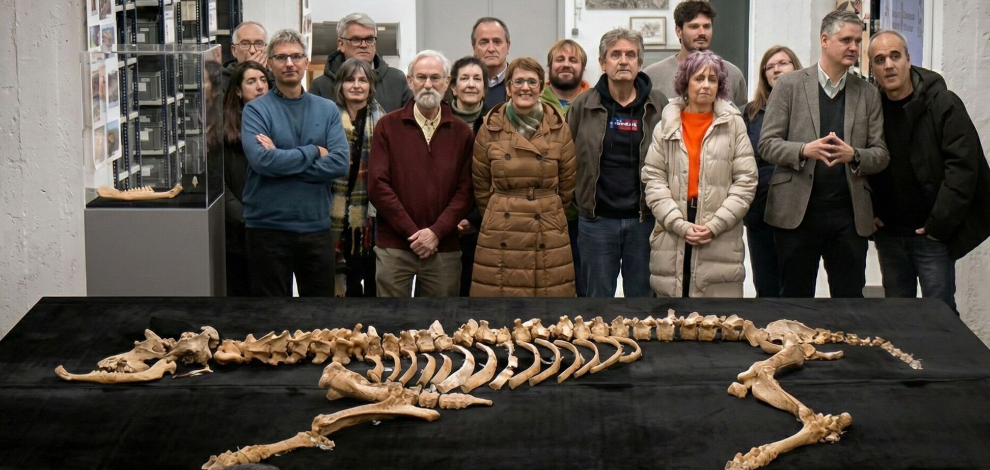 Археологи знайшли залишки бізона, який жив 4000 років тому: в чому унікальність відкриття