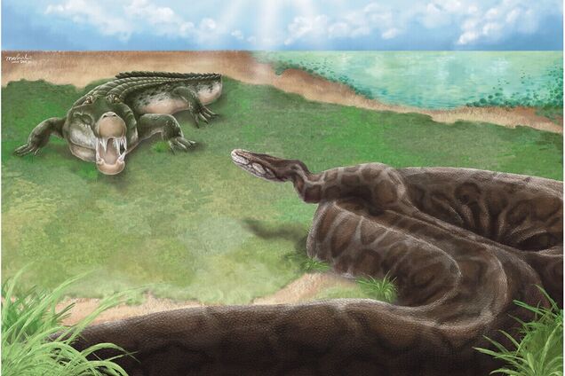 На Тайване обитали гигантские питоны: ученые выяснили, почему они вымерли