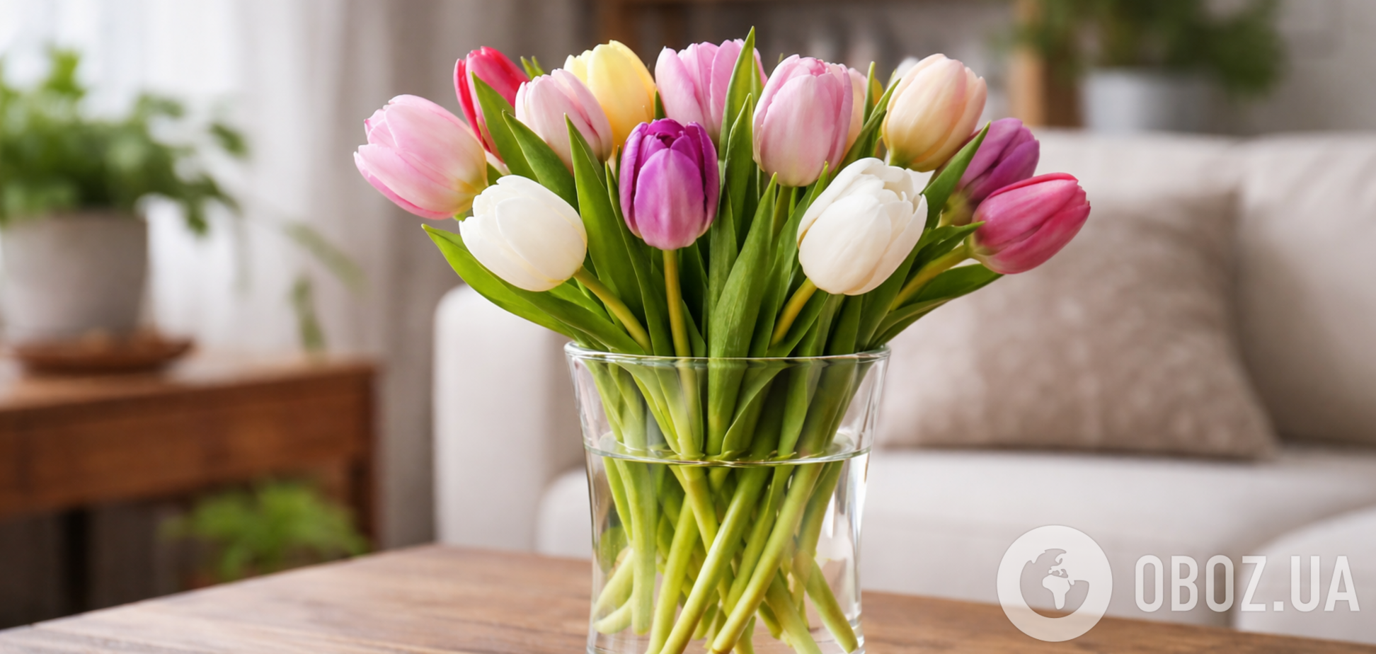 Тюльпаны будут стоять неделями: есть несколько действенных секретов