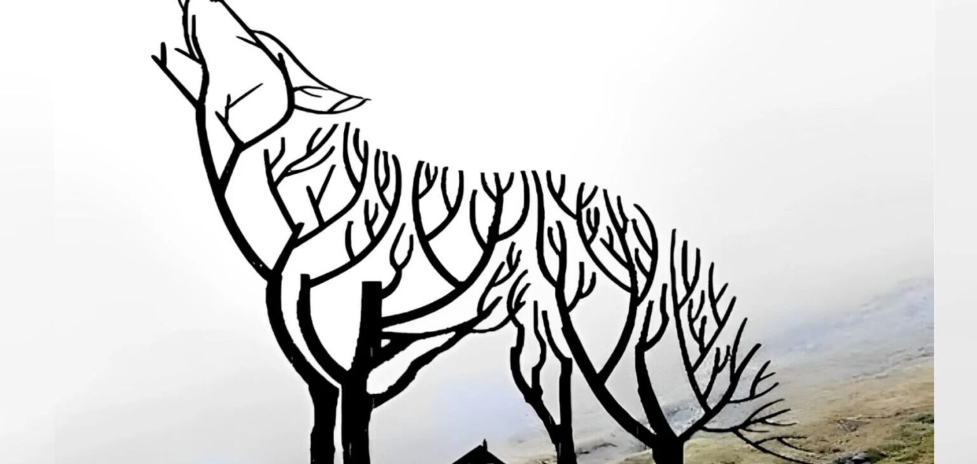 Что увидели первым? Тест раскроет особенности вашего характера