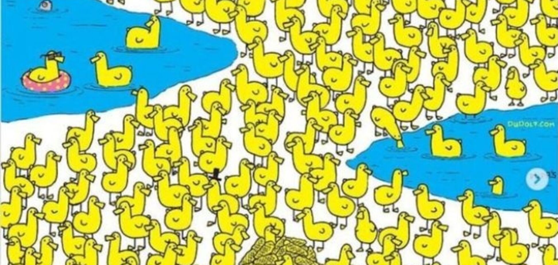 Знайдіть курча на малюнку: завдання не з простих