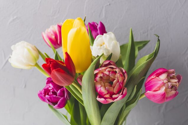 Тюльпани стоятимуть у вазі тижнями: що додати у воду