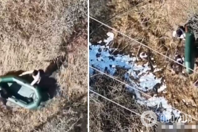 'Twin-тур до Молдови скасовано': прикордонники завадили спробі братів-близнюків перепливти Дністер. Відео