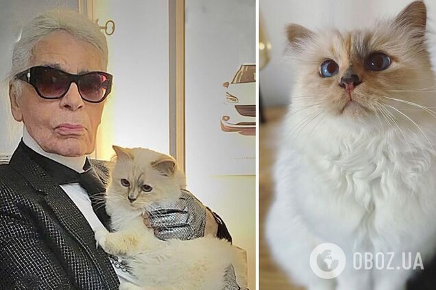 Їсть з порцеляни та спить на Chanel: як живе найбагатша кішка світу, якій дістався спадок Карла Лагерфельда