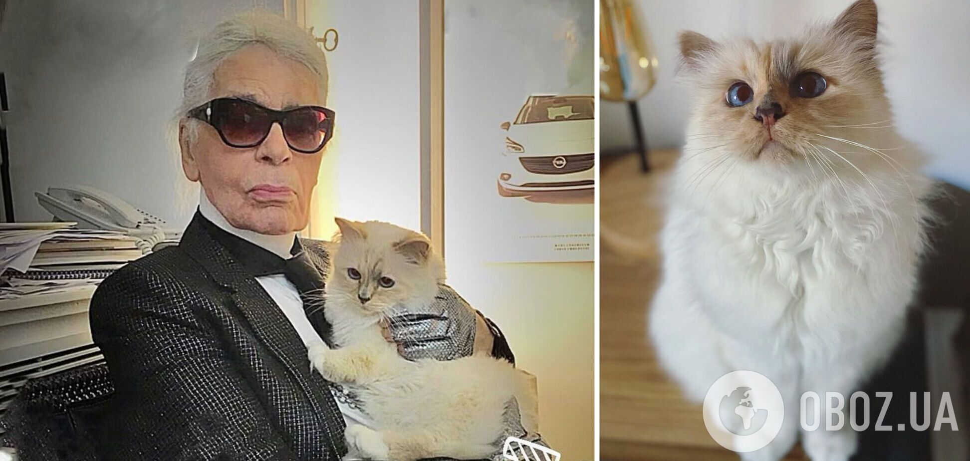 Ест из фарфора и спит на Chanel: как живет самая богатая кошка мира, которой досталось наследство Карла Лагерфельда