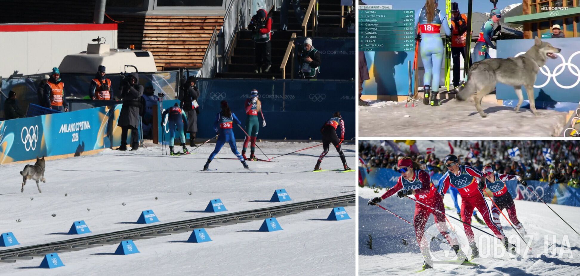 'Галюцинація', що вибігла на трасу, ледь не зірвала лижну гонку Олімпіади-2026. Відео