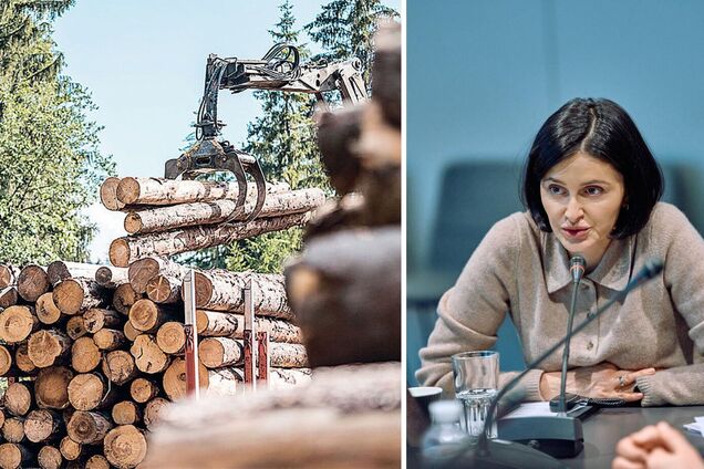 Ольга Василевская-Смаглюк