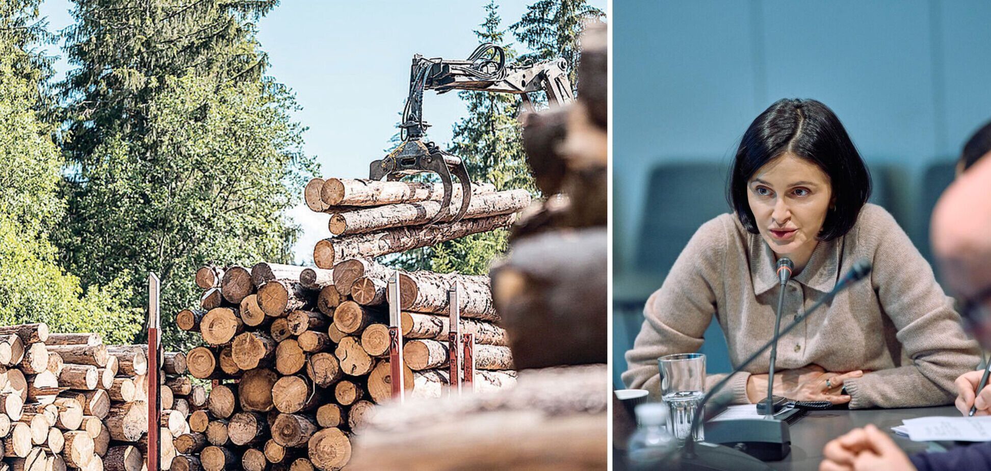 Ольга Василевская-Смаглюк