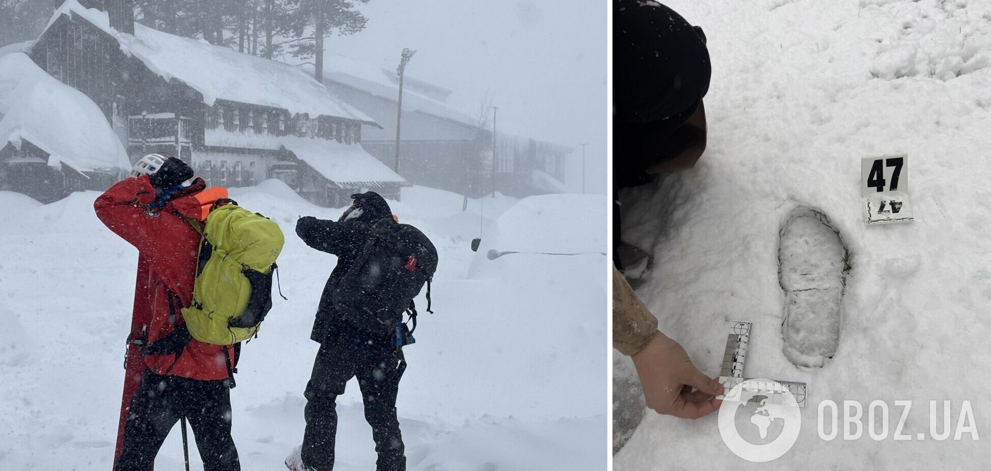 Смертоносная лавина: в горах Калифорнии погибли восемь лыжников, шестерых спасли
