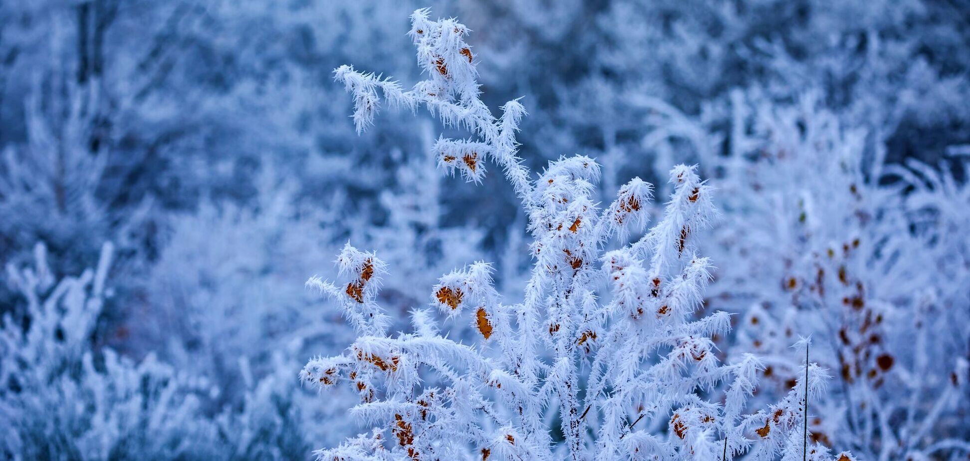 Ще один день погодних випробувань: синоптики сказали, де у вівторок буде до -27 градусів. Карта