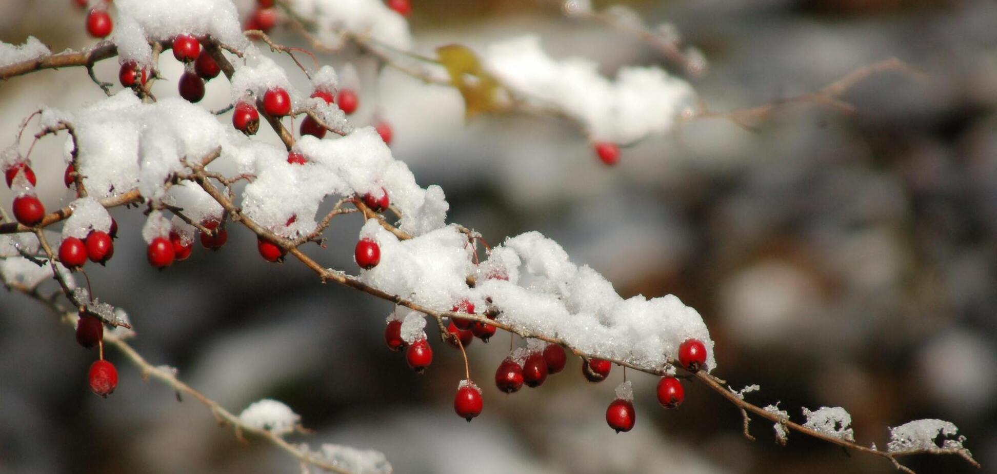 В Украине во вторник будет до 28 градусов мороза: когда ждать потепления