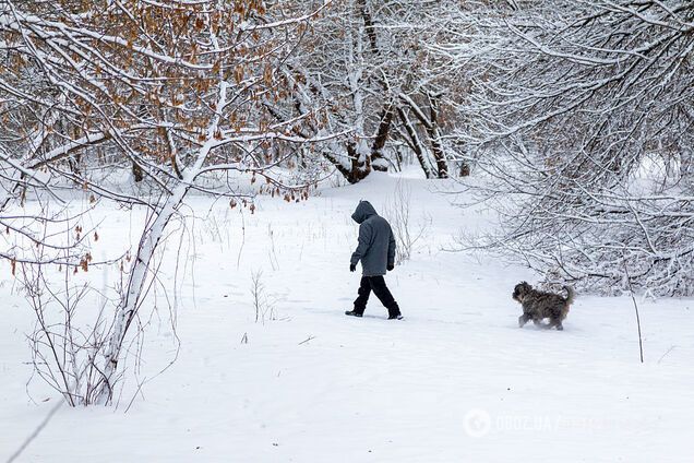 Останній подих зими: синоптики сказали, де в Україні в суботу буде до 20 градусів морозу. Карта