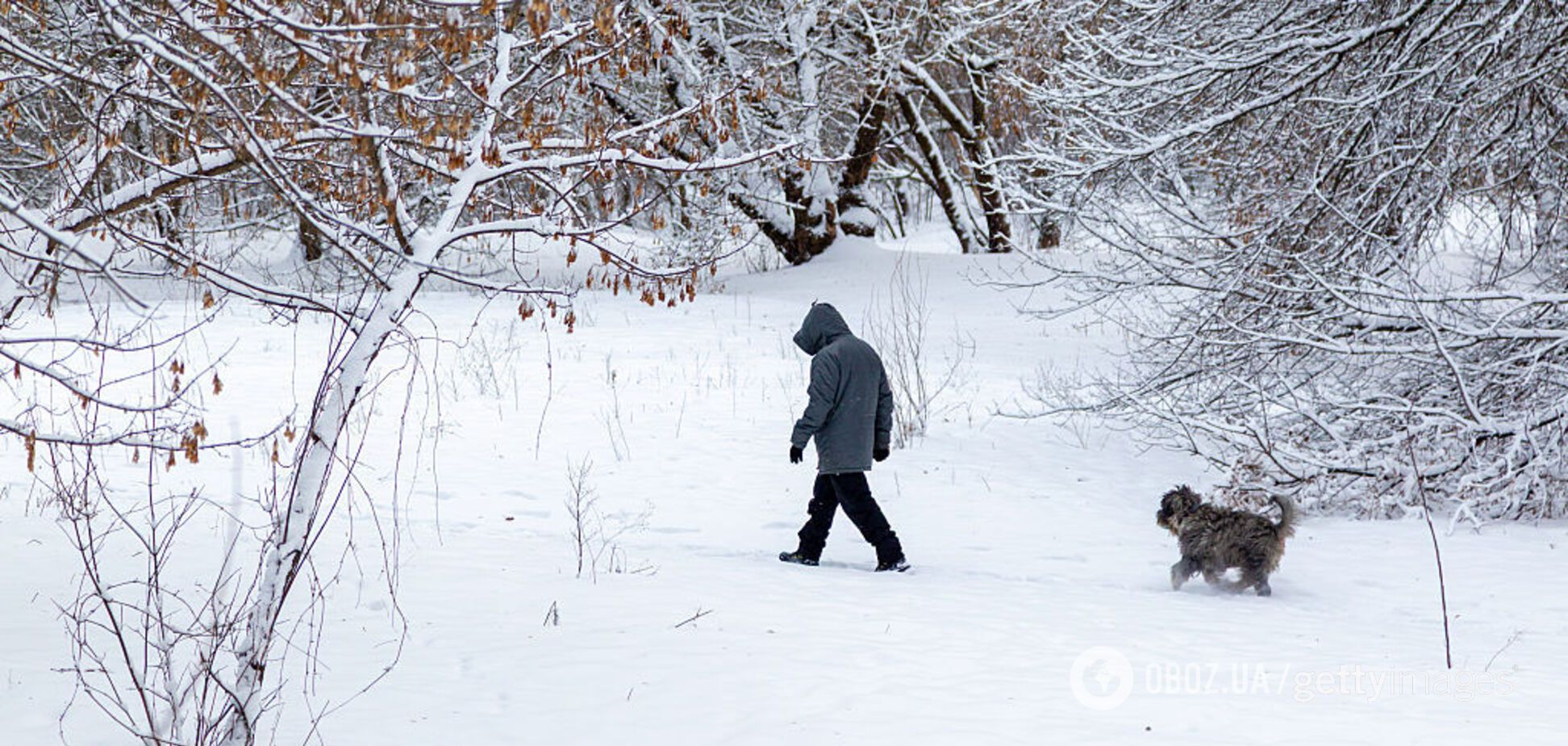 Последнее дыхание зимы: синоптики сказали, где в Украине в субботу будет до 20 градусов мороза. Карта