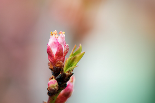 Названа самая мощная дата марта: в этот день может измениться все