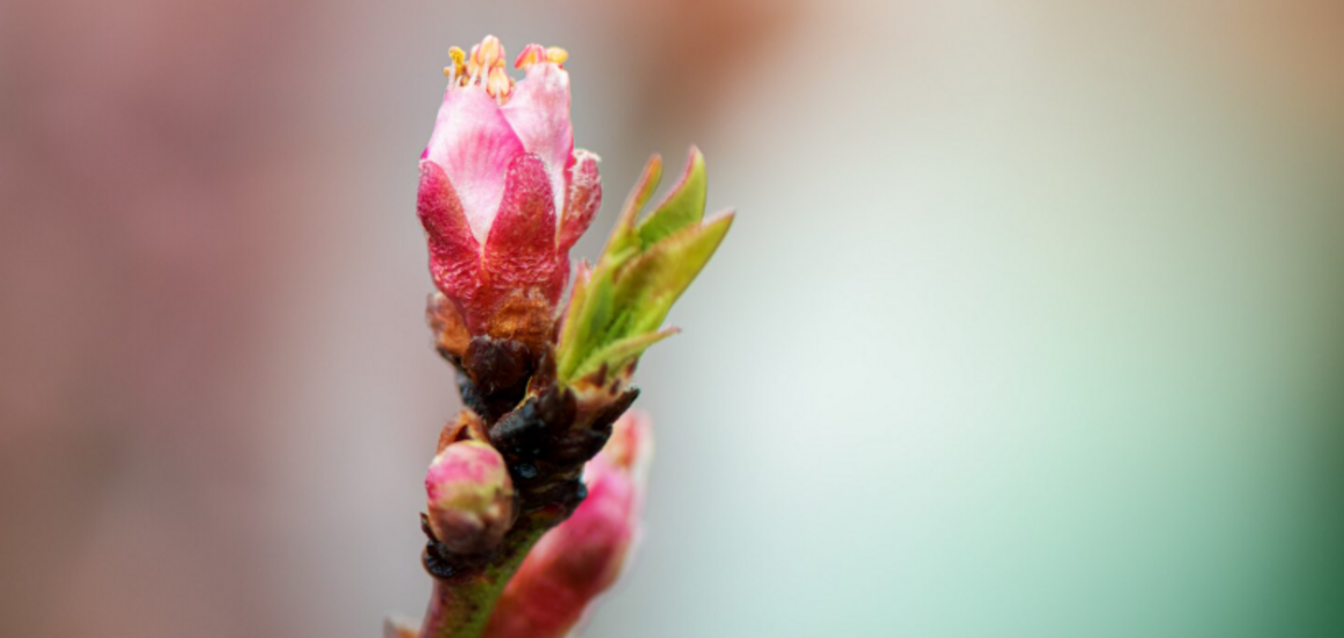 Названо найпотужнішу дату березня: у цей день може змінитися все