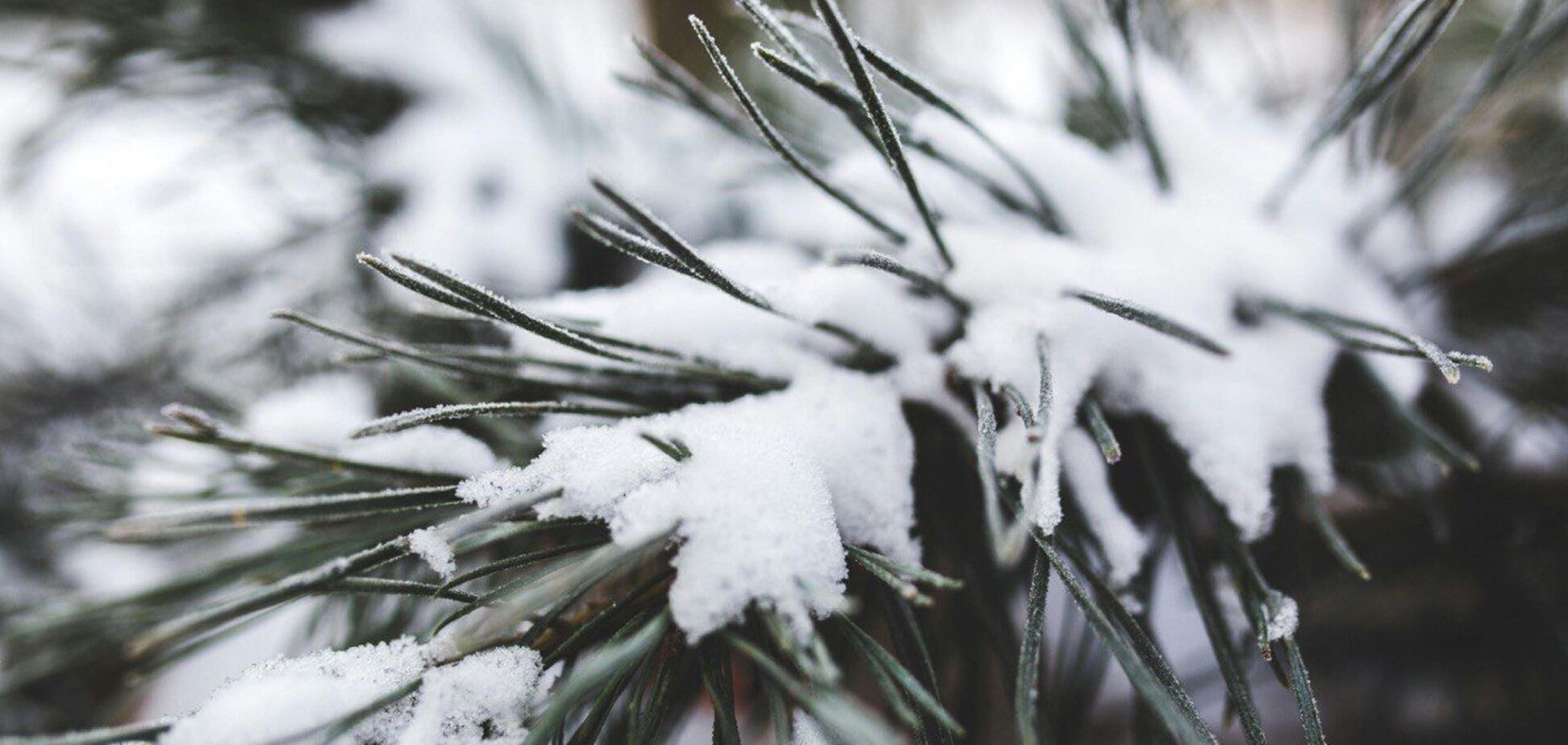 В Украину пришло потепление, но есть 'нюанс': синоптики дали прогноз на начало недели. Карта