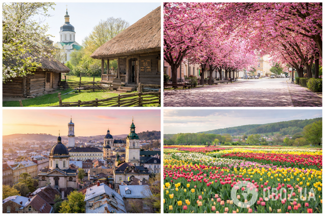 Тунель кохання, 'українська Венеція' та водоспади: куди поїхати в Україні навесні
