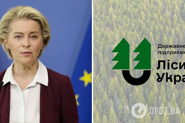 ЄС закликали звернути увагу на корупцію в ДП 'Ліси України': опубліковано звернення до фон дер Ляєн