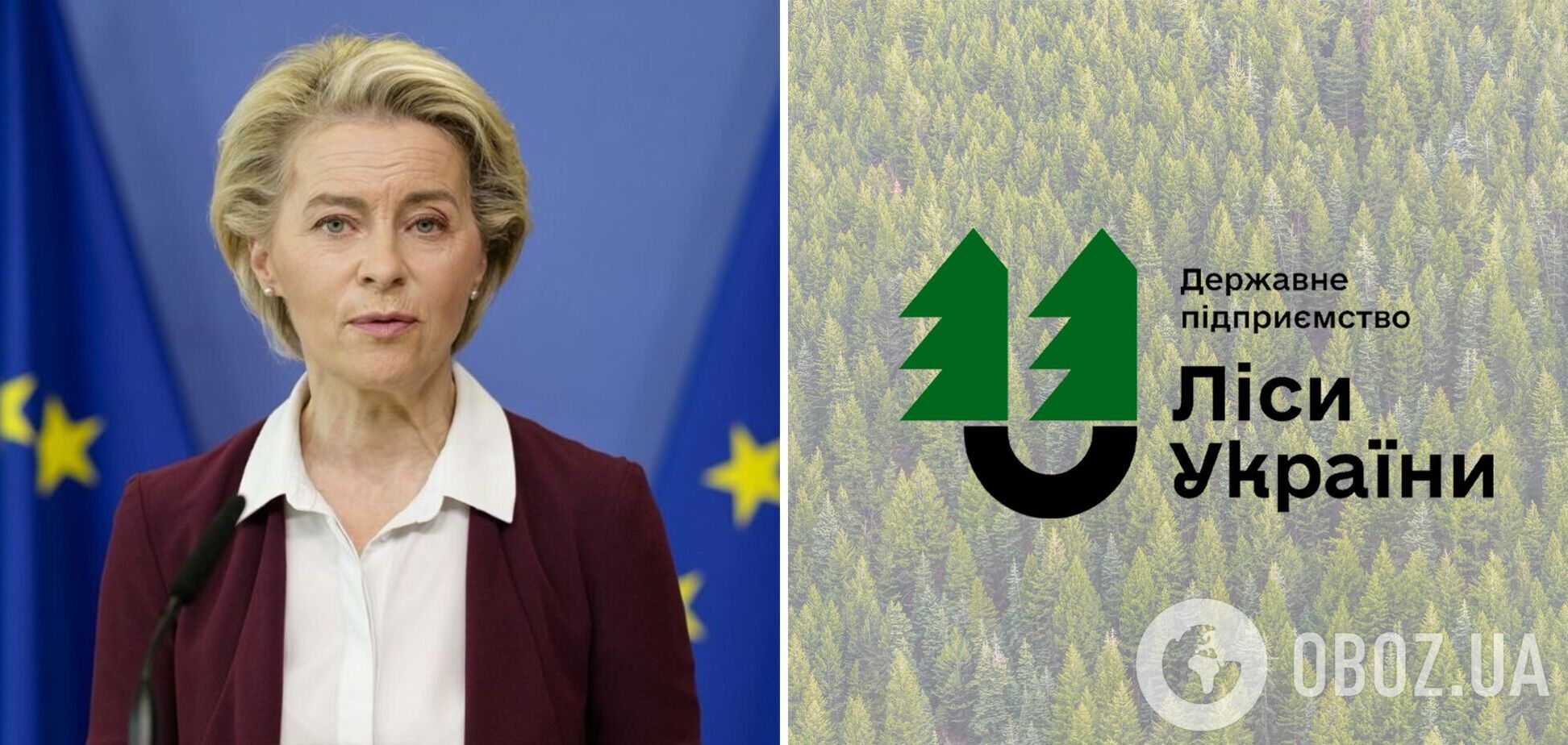 ЄС закликали звернути увагу на корупцію в ДП 'Ліси України': опубліковано звернення до фон дер Ляєн