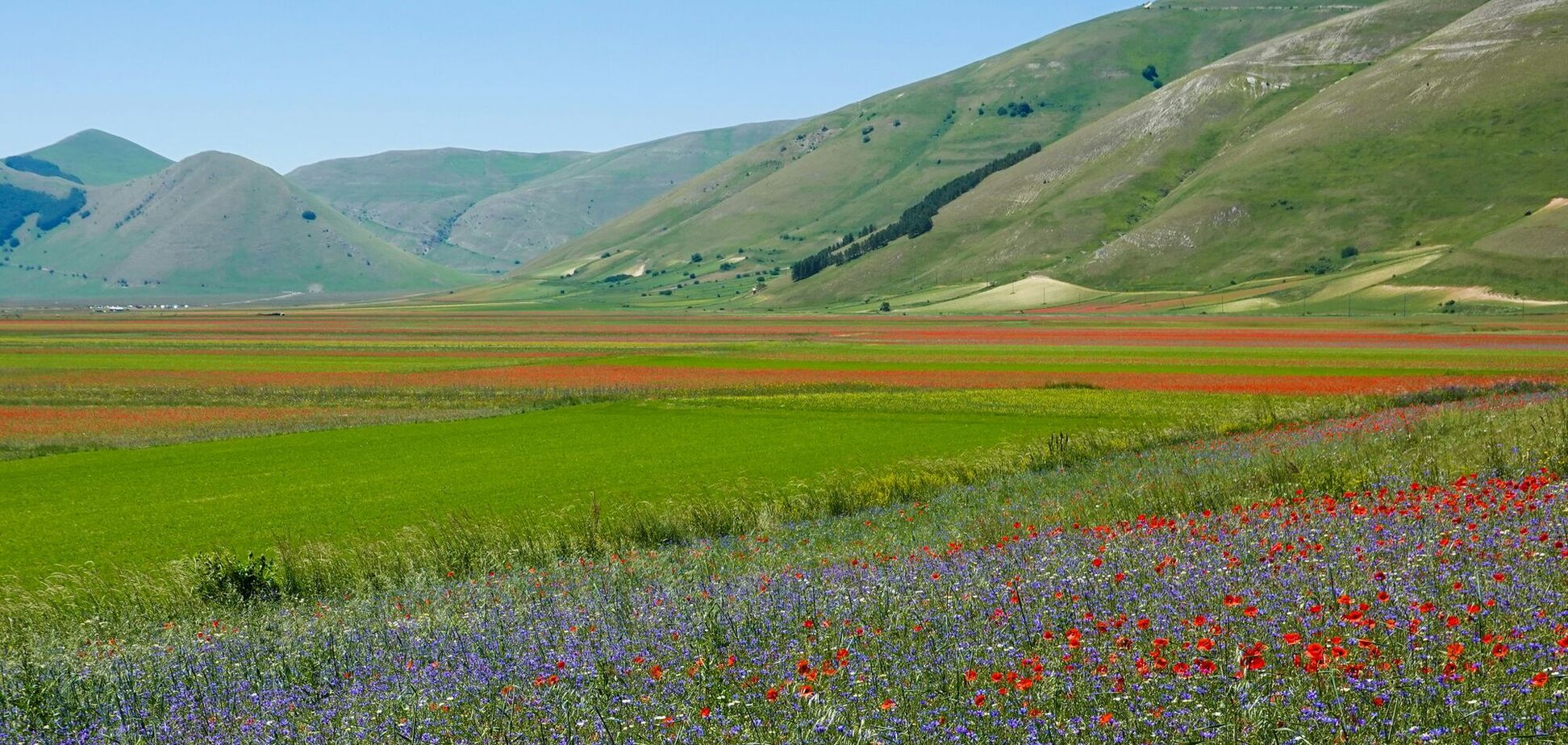 Лучшие цветочные локации Европы: куда поехать за фантастическими фото