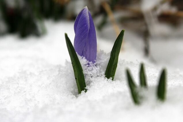 В Україні в березні вдарить до 13 градусів морозу: синоптик попередив про 'сюрприз'
