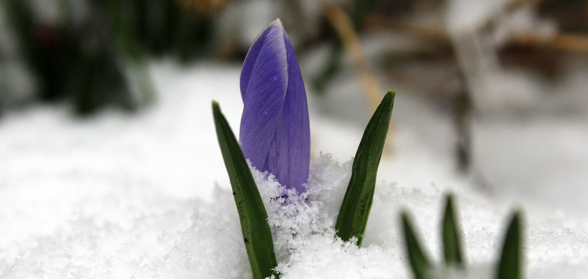 В Украине в марте ударит до 13 градусов мороза: синоптик предупредил о 'сюрпризе'