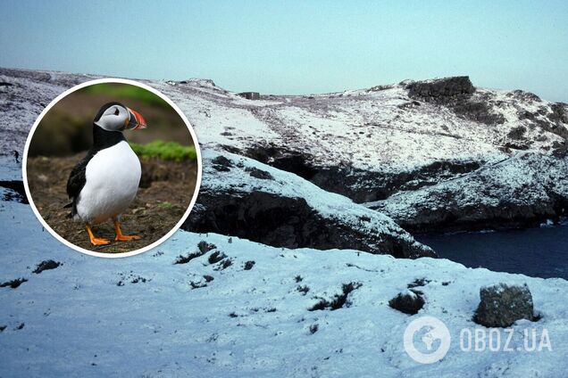 Уникальный остров приглашает волонтеров бесплатно там пожить: какие условия