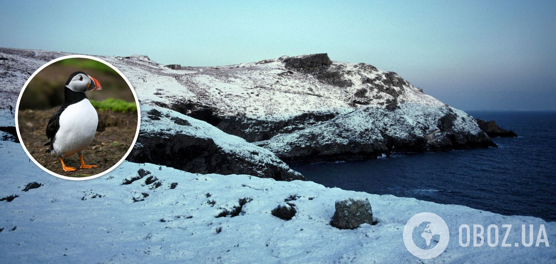 Уникальный остров приглашает волонтеров бесплатно там пожить: какие условия