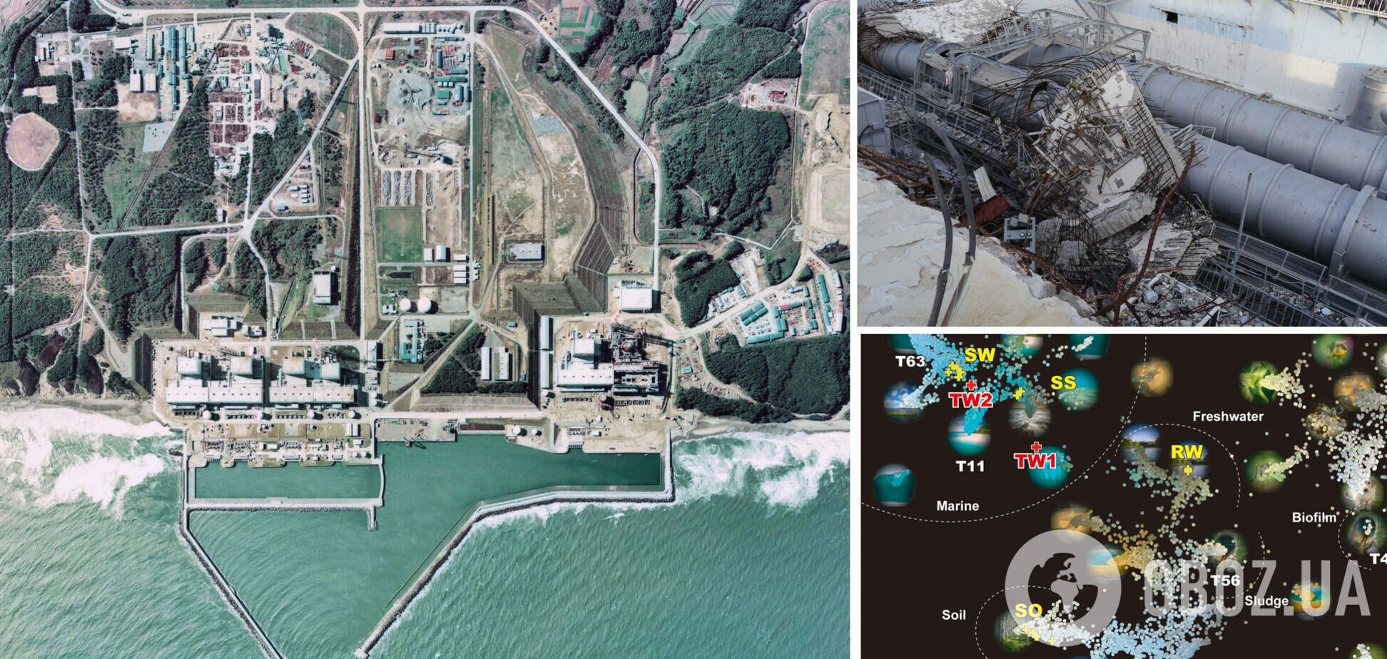 Ученые нашли 'что-то странное' под реакторами Фукусимы: что их озадачило