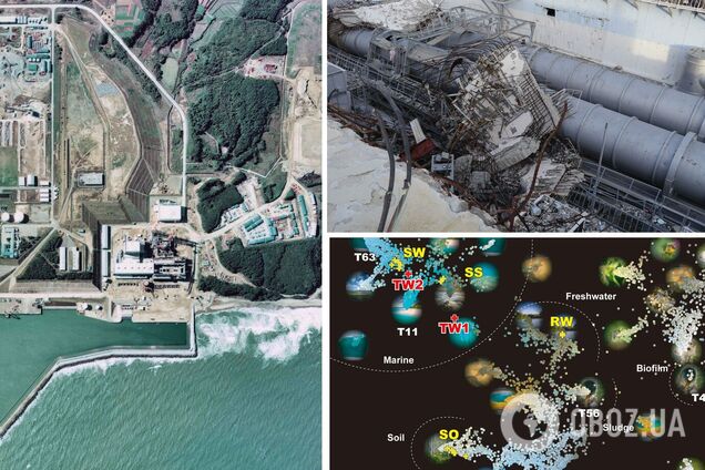 Ученые нашли 'что-то странное' под реакторами Фукусимы: что их озадачило