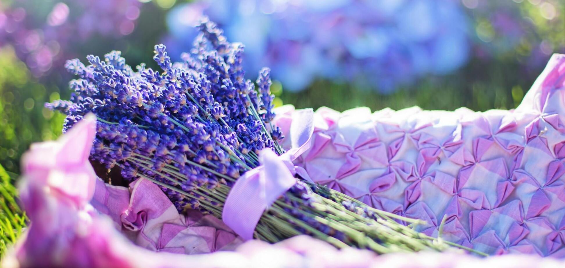 Идеальные сочетания: какие растения стоит посадить возле лаванды