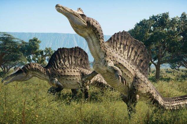 Величезне 'вітрило' і довгий череп:  який вигляд мав найдивніший динозавр в історії