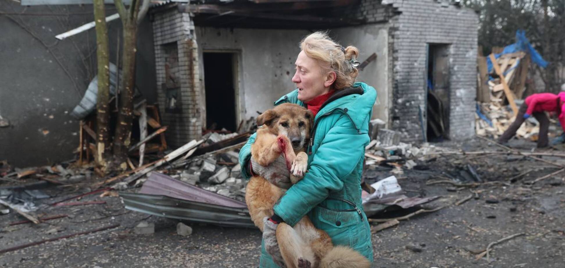 Постраждало багато тварин: у Запоріжжі під російський удар потрапив собачий притулок. Фото і відео
