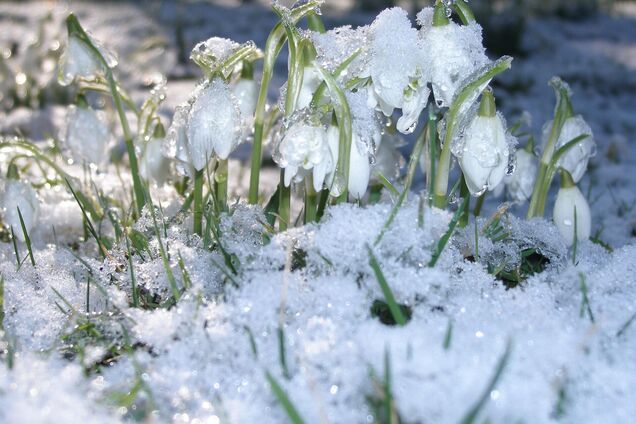 'Сильные морозы выдыхаются': синоптик рассказала, какой погоды ждать в Украине. Карта