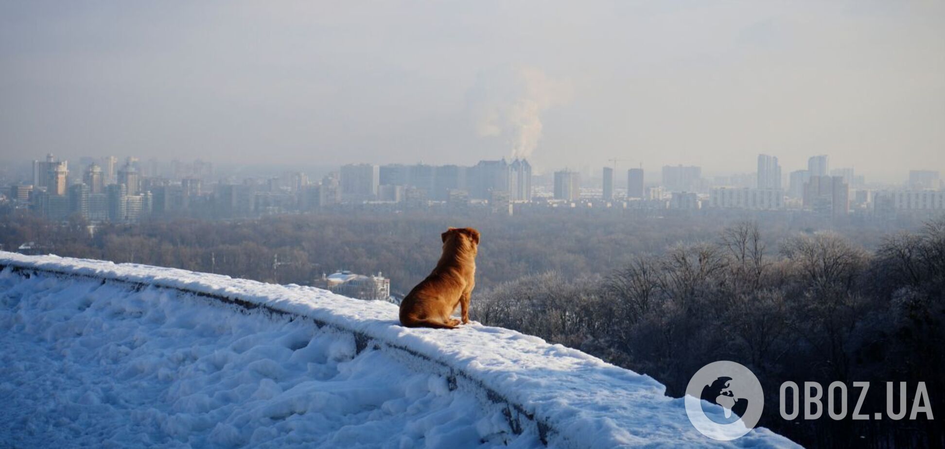 Сильні морози вночі: прогноз погоди у Києві та області на 10 лютого