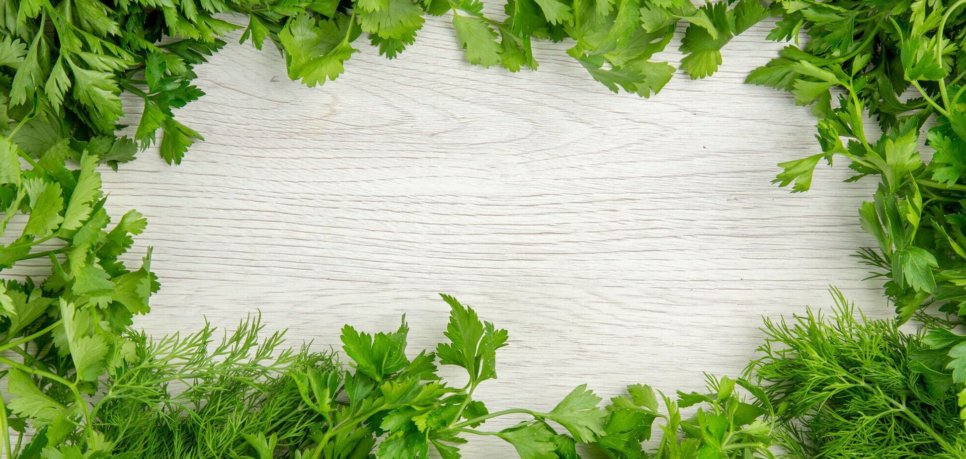 Топ-7 трав, которые можно посадить в воде прямо на кухне