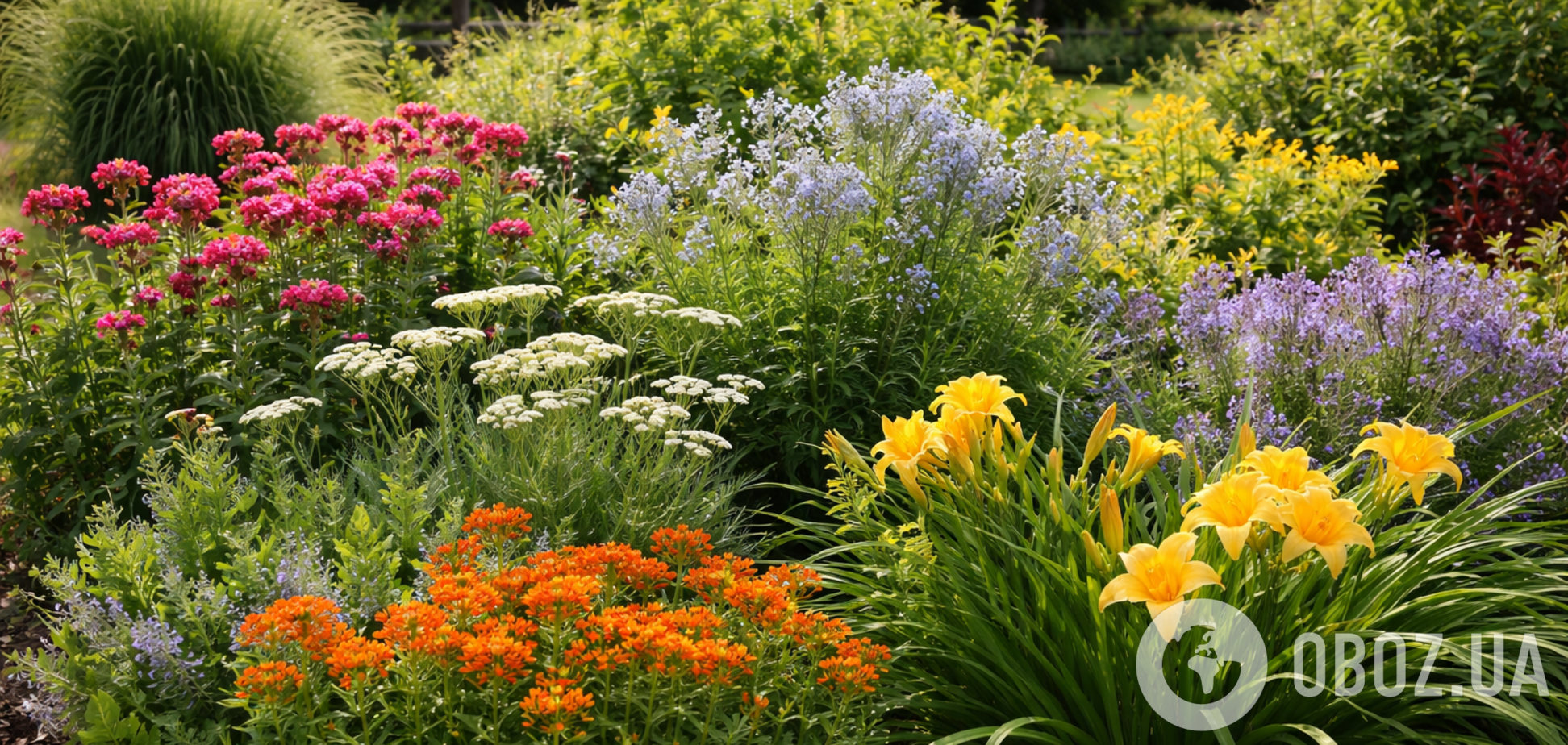 Навіть якщо ґрунт бідний: 5 рослин, які приживуться у будь-якому саду