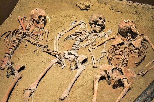 Недалеко от Украины: ученые заявили, что могли найти останки древнейшего предка человека