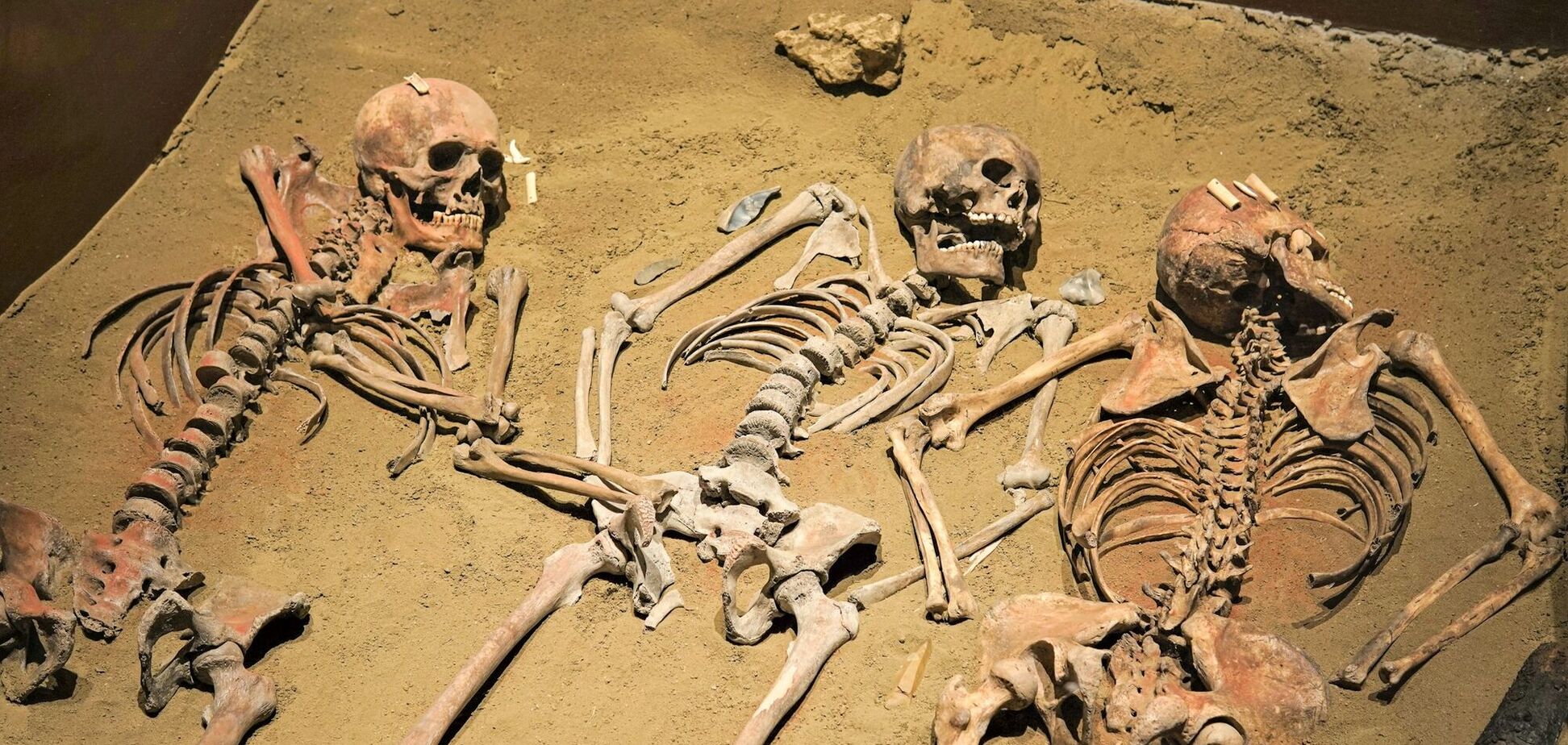 Недалеко от Украины: ученые заявили, что могли найти останки древнейшего предка человека