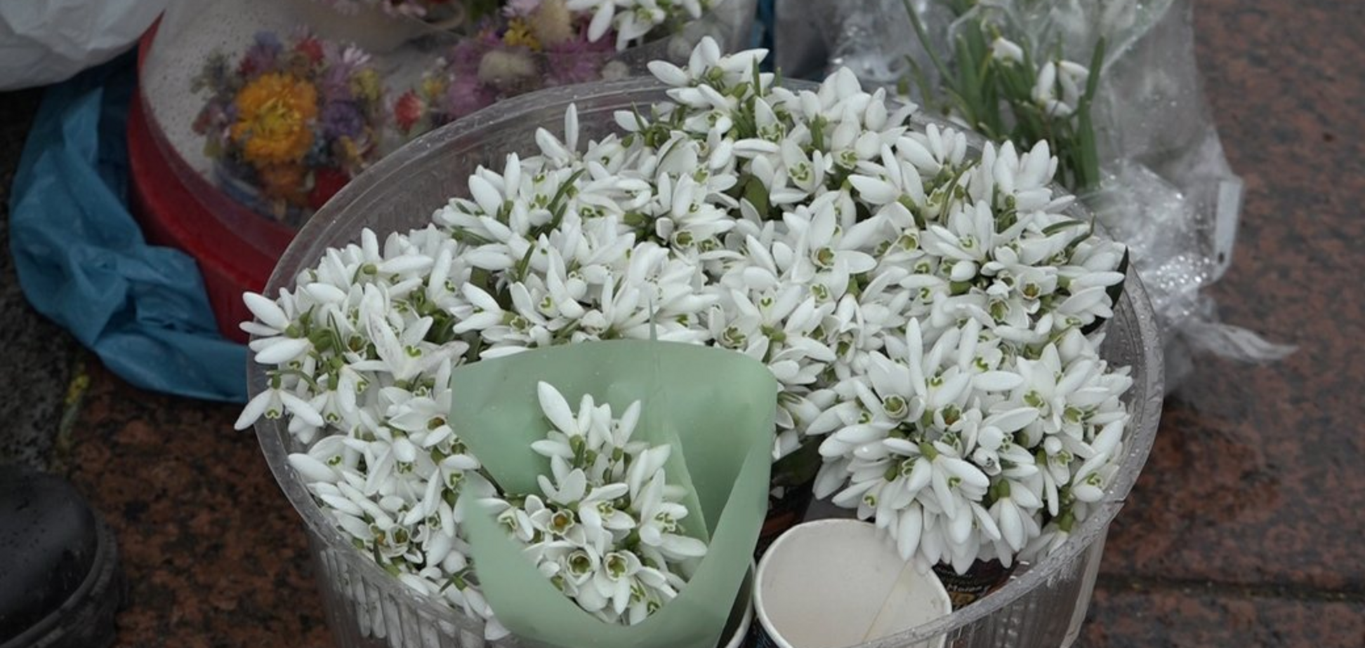 Незаконий продаж первоцвітів