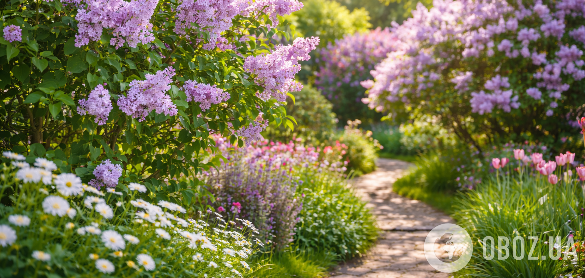 Які рослини не варто обрізати у березні: можуть взагалі не зацвісти