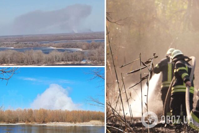 Стовп диму видно навіть у столиці: на Київщині сталась масштабна пожежа. Подробиці, фото та відео