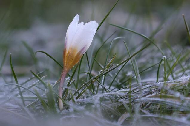 В Україну після 17 градусів тепла ввірветься похолодання: коли чекати зміни погоди