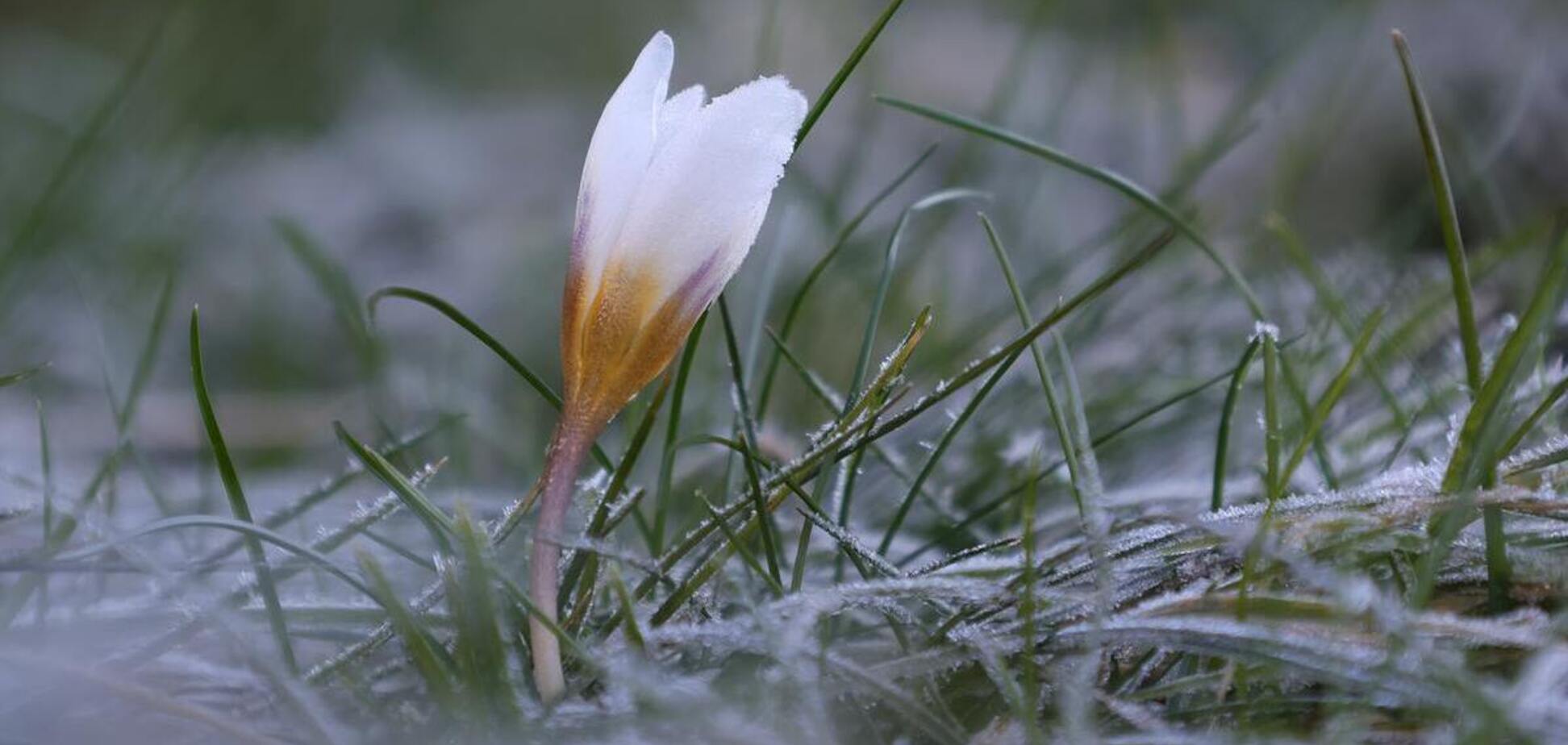 В Україну після 17 градусів тепла ввірветься похолодання: коли чекати зміни погоди