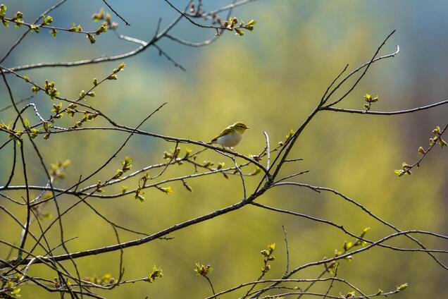 Какой праздник отмечают 18 марта: все об этом дне