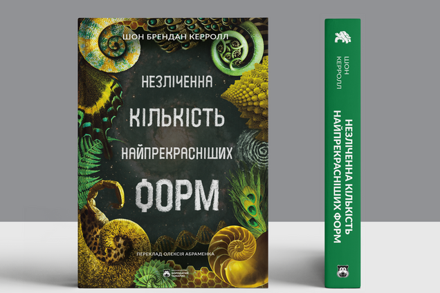 Как на крыльях бабочек образуются узоры и при чем здесь эво-дево?