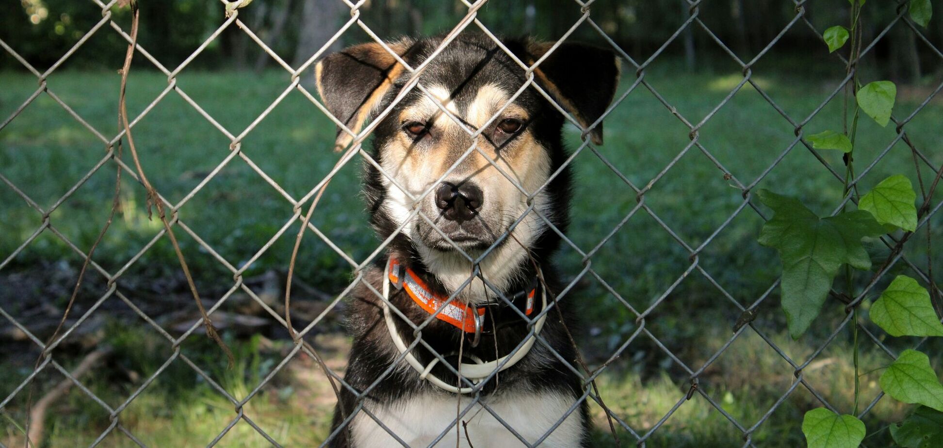 Как сказать на украинском 'препятствовать': вариант не один