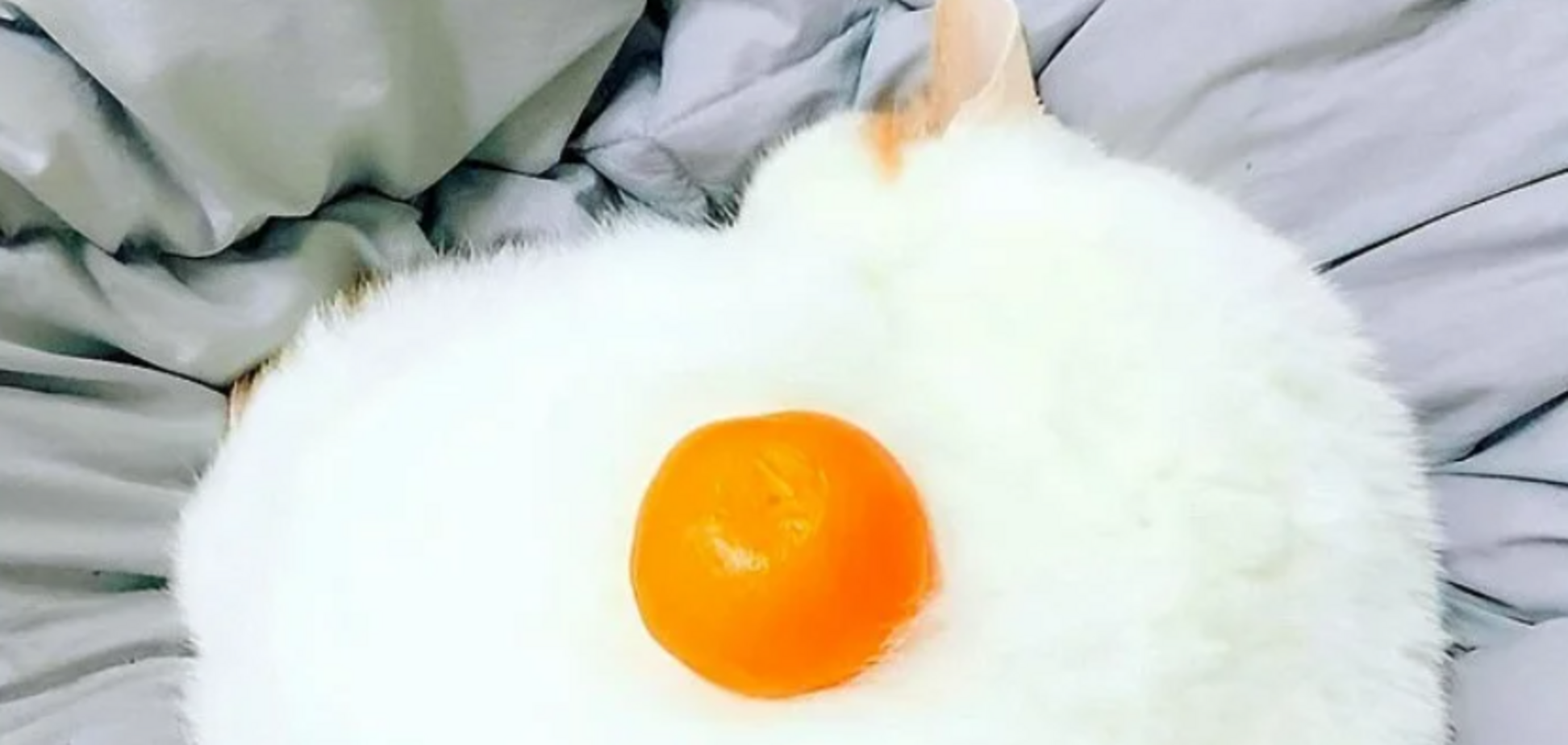 Что увидели первым? Тест раскроет вашу личность